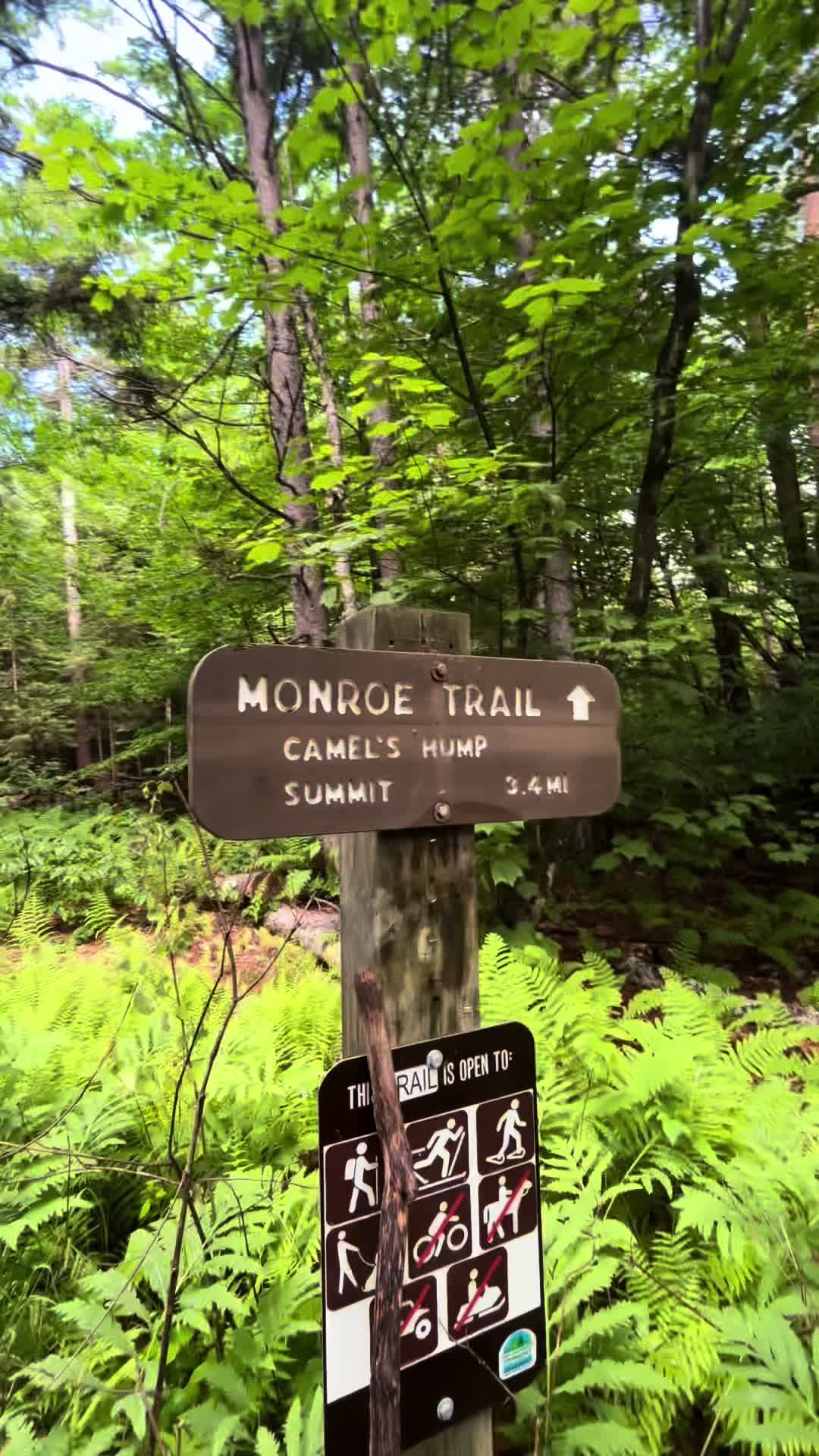 @💙The Sober Wanderer💙⛰️🥾🏕️