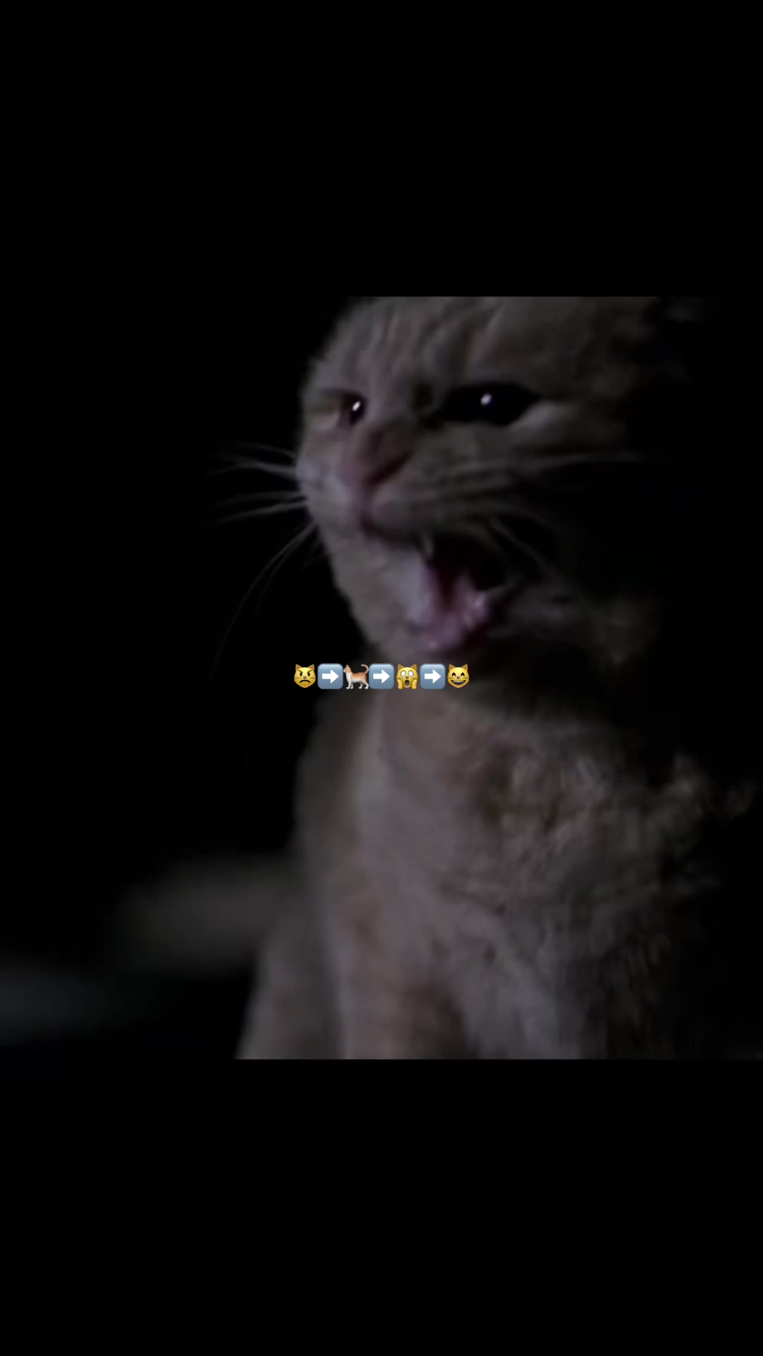 @๐๐