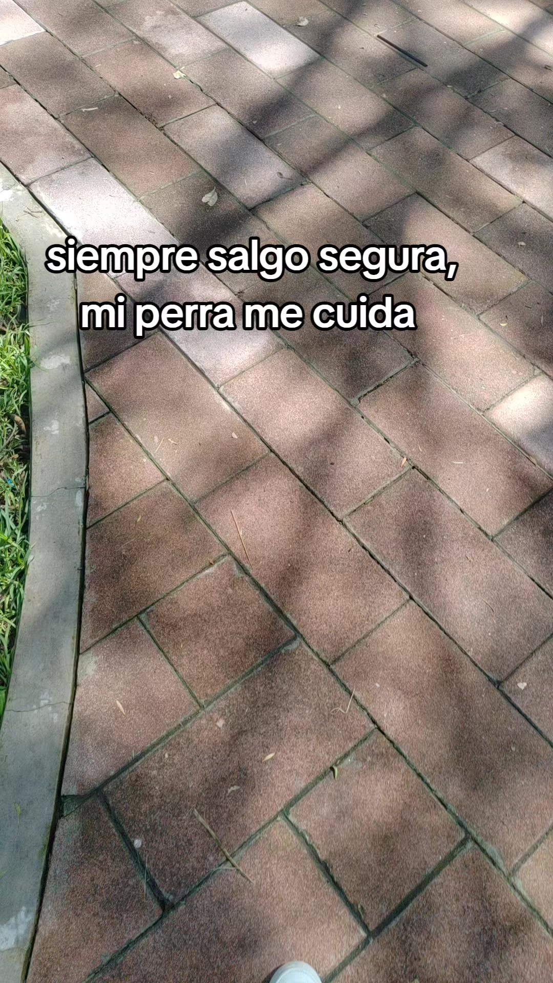 @Ivo 🩷