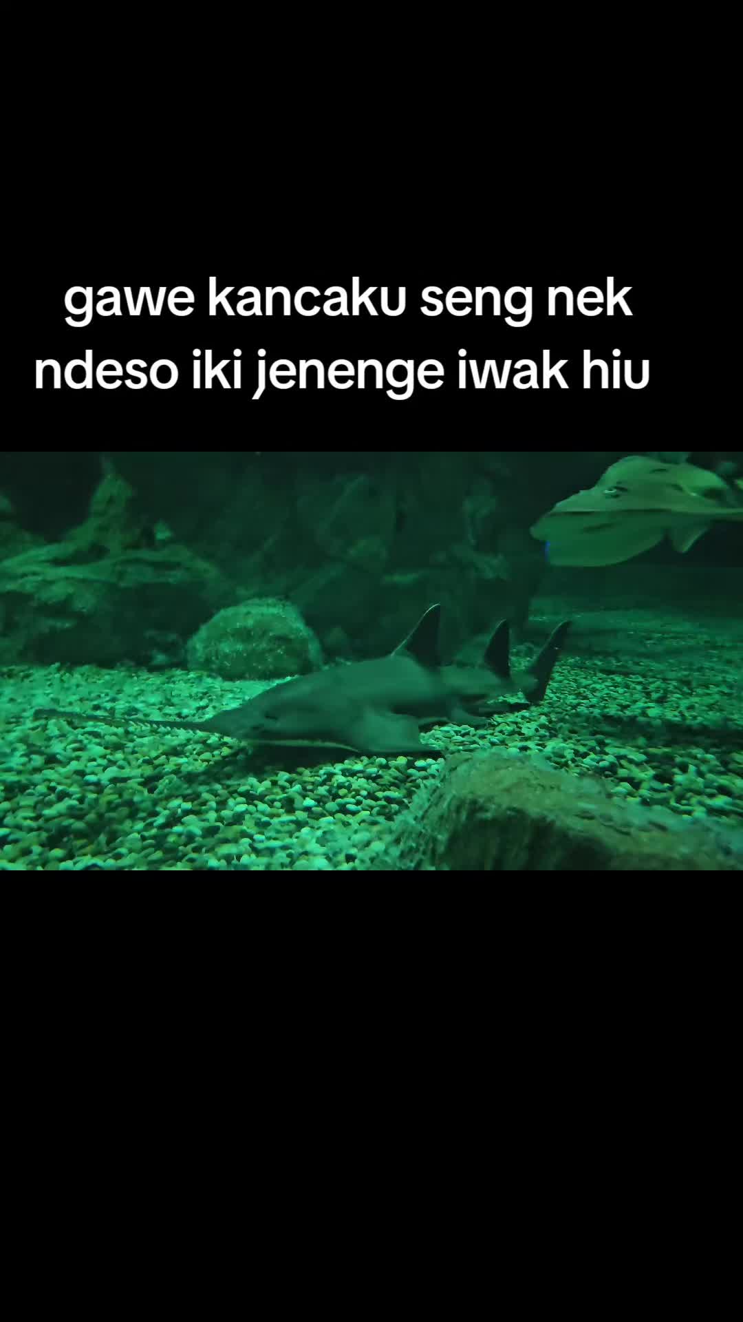 @Rhoss