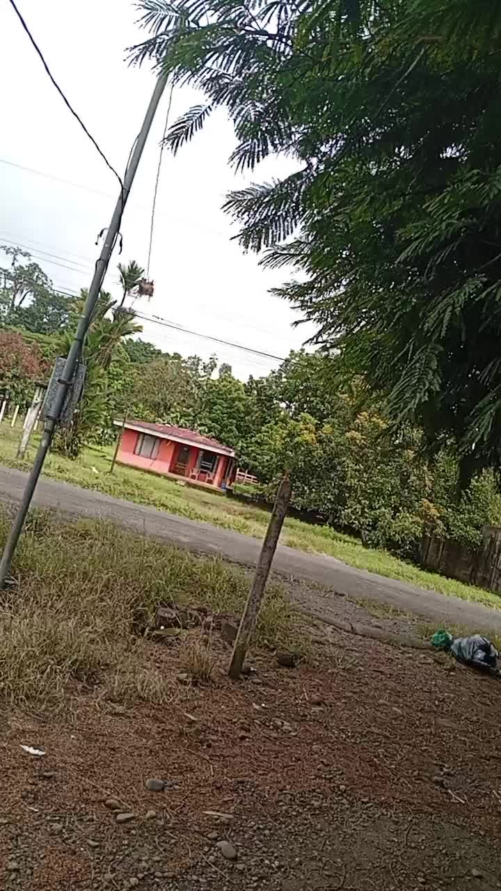 @joseth 1919