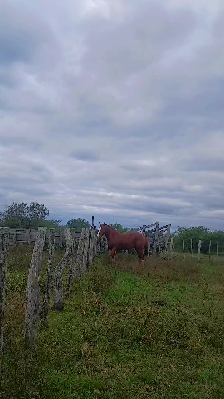 @LeandroPortelaOk