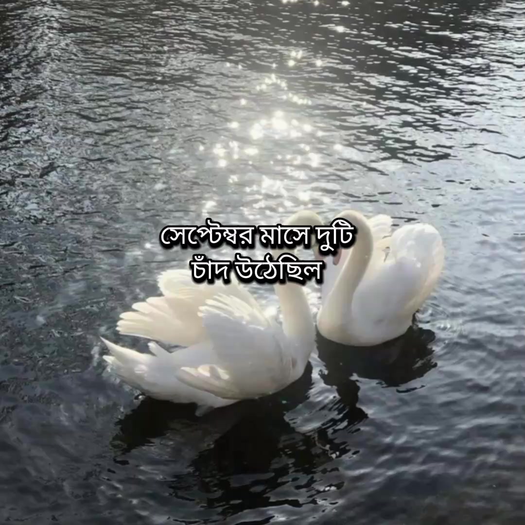 @ᥫ᭡𓂃 𝑴𝒓𝒔 𝑱𝒂𝒚𝒂𝒏!?
