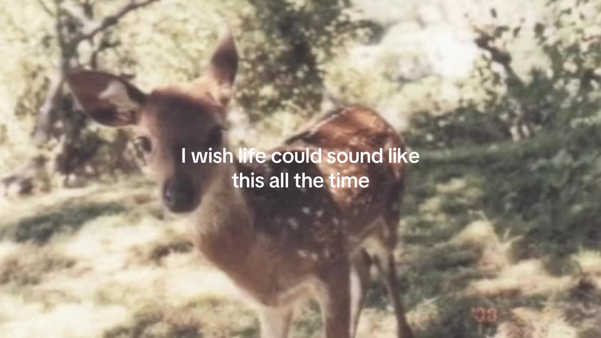 @Not me
