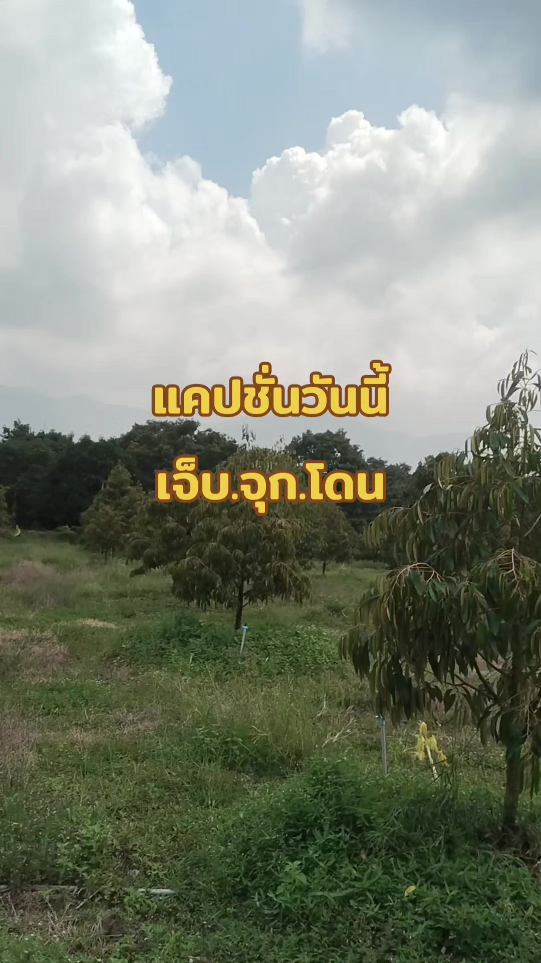 @หม้อดิน