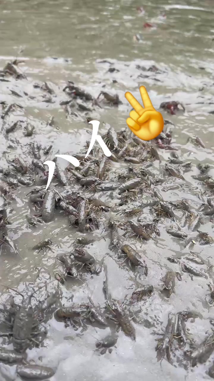 @零🇯🇵🌸零戦一番機🌸🇯🇵
