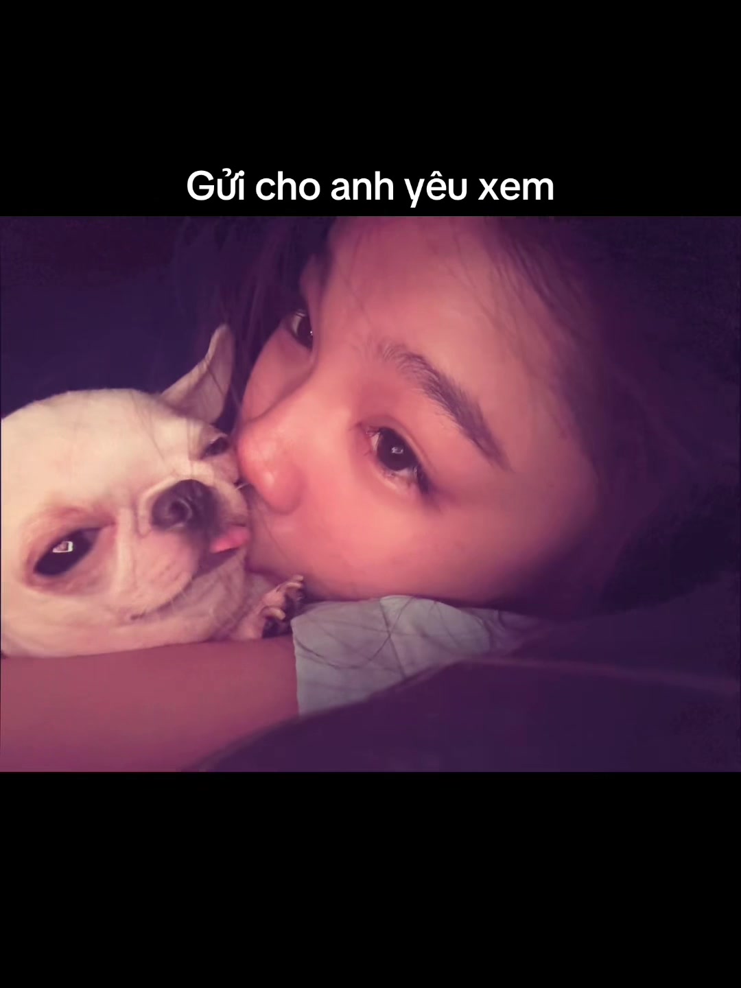 @L&uacute;n L&egrave;👽