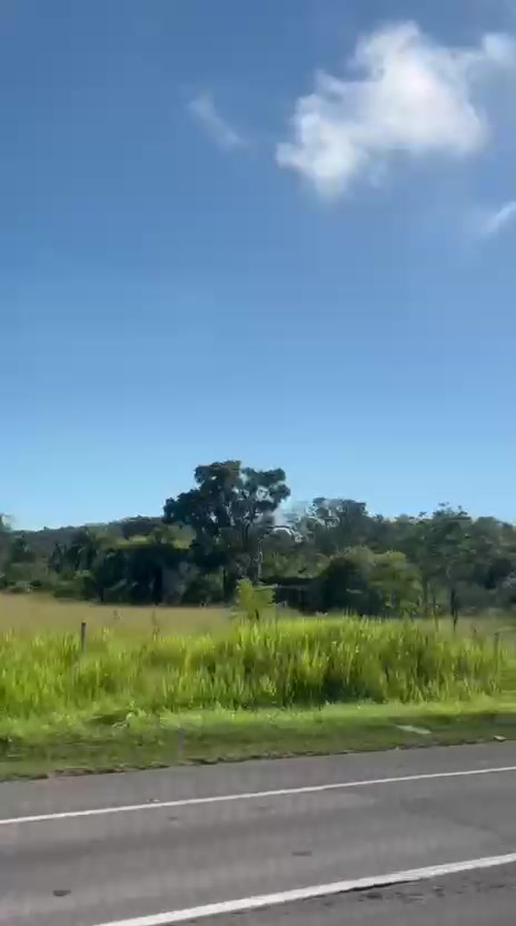 @eli maciel