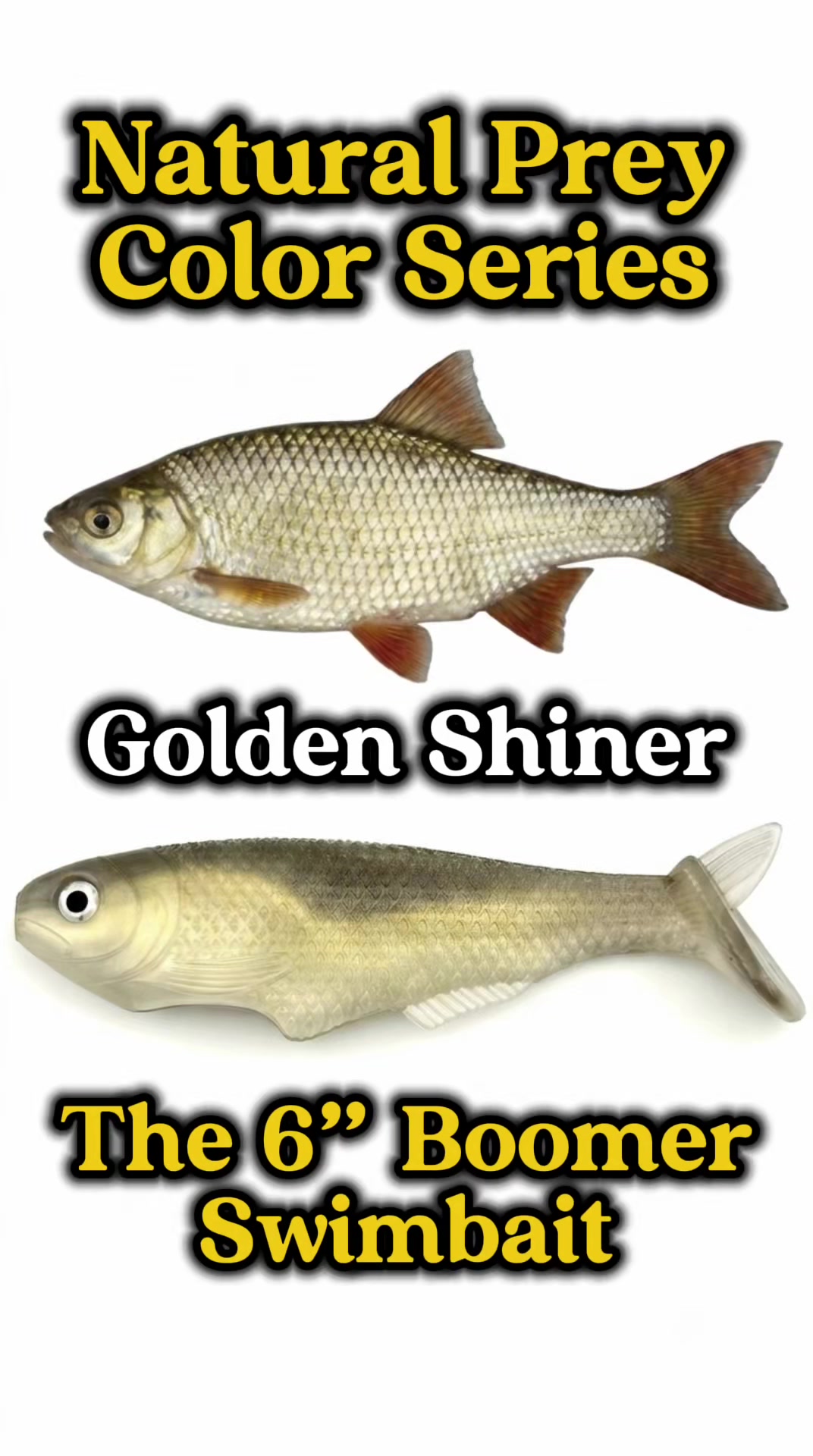 @Tacklehead Fishing