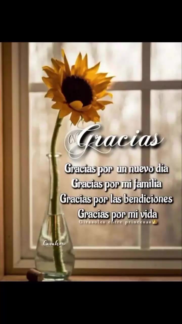 @David Ochoa1956