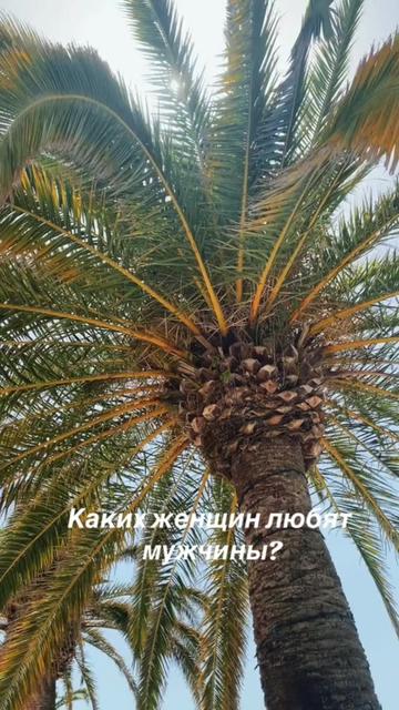 @Thomsom