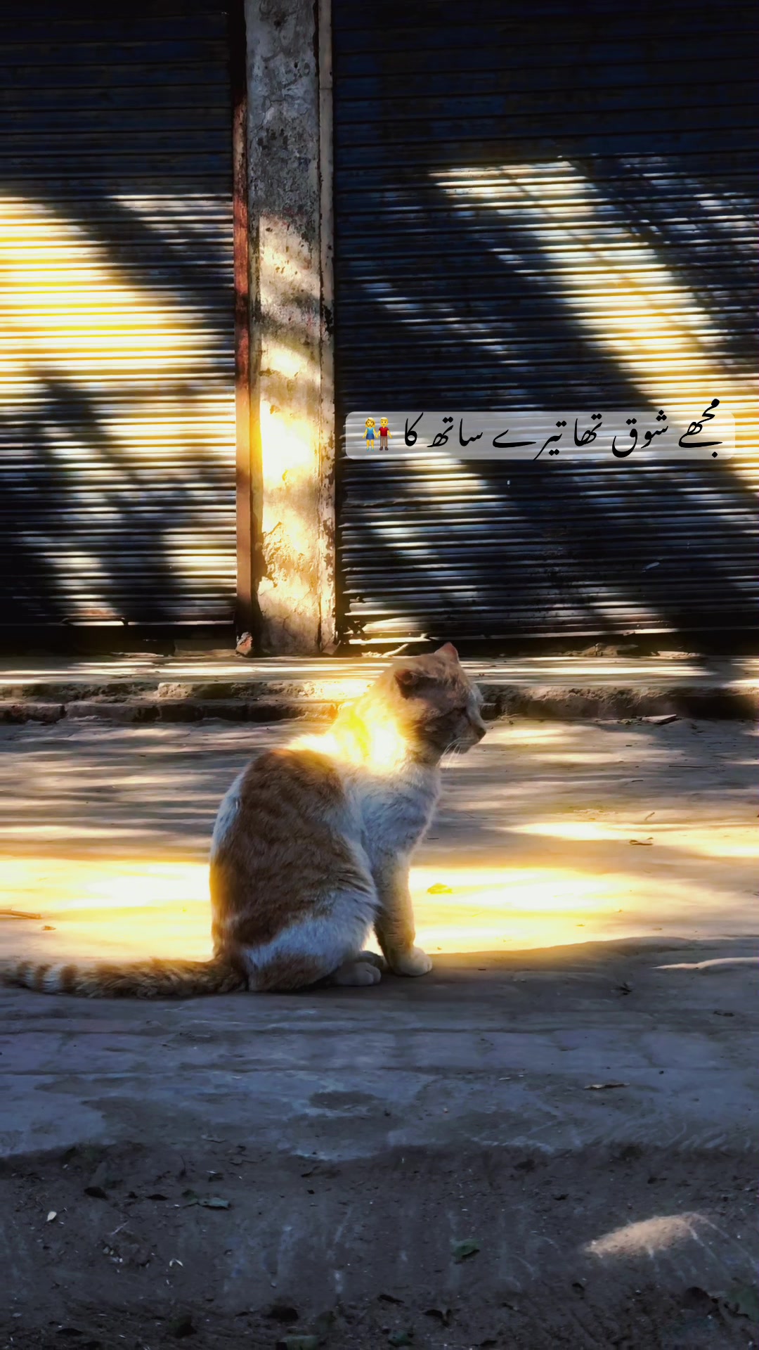 @INK Saad