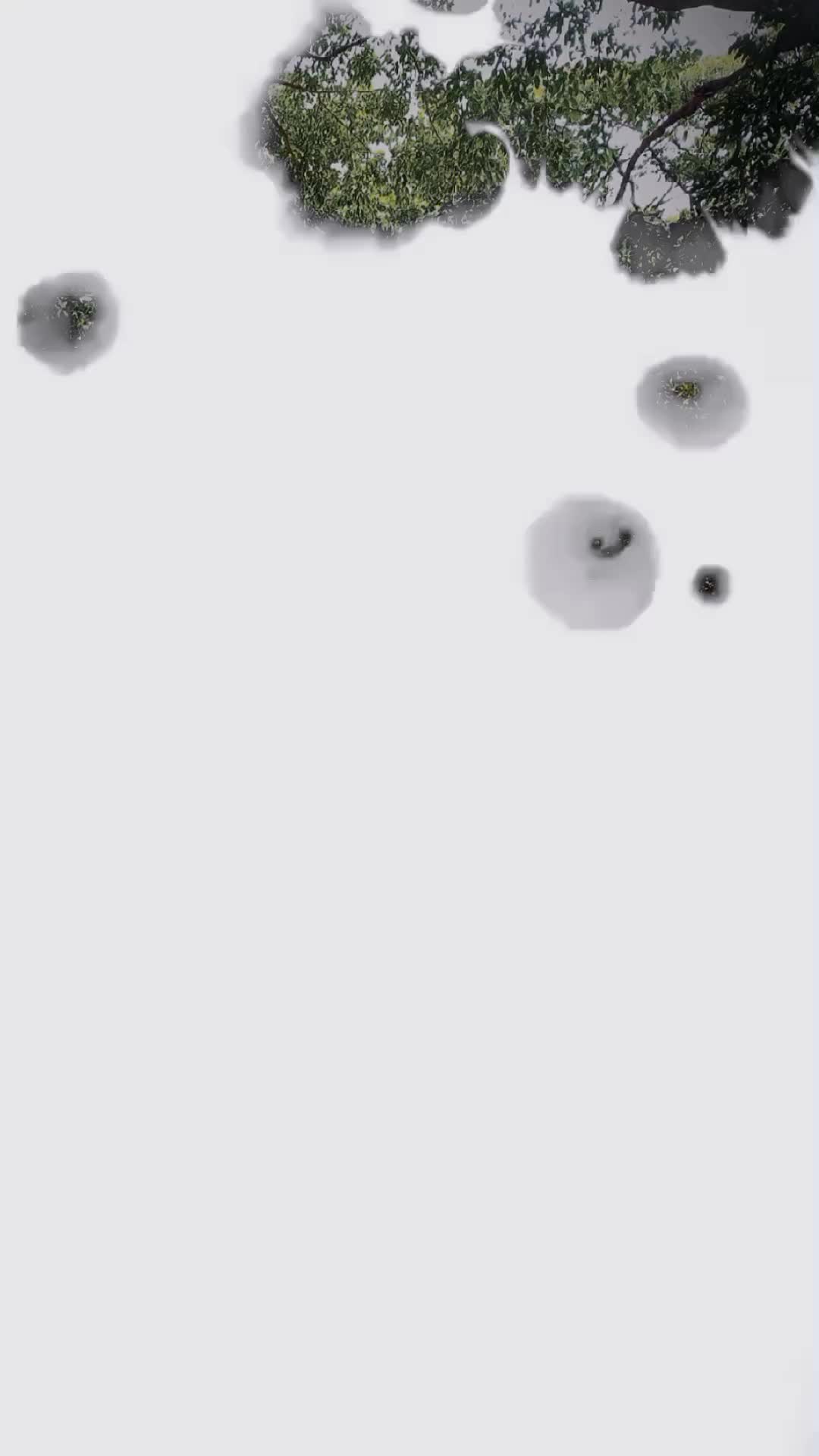 @𝐌⃯ɪ֟፝𝛈𝛜 𝙱𝛂⃨፝֟֡𝙱𝗬 🐹💍💜