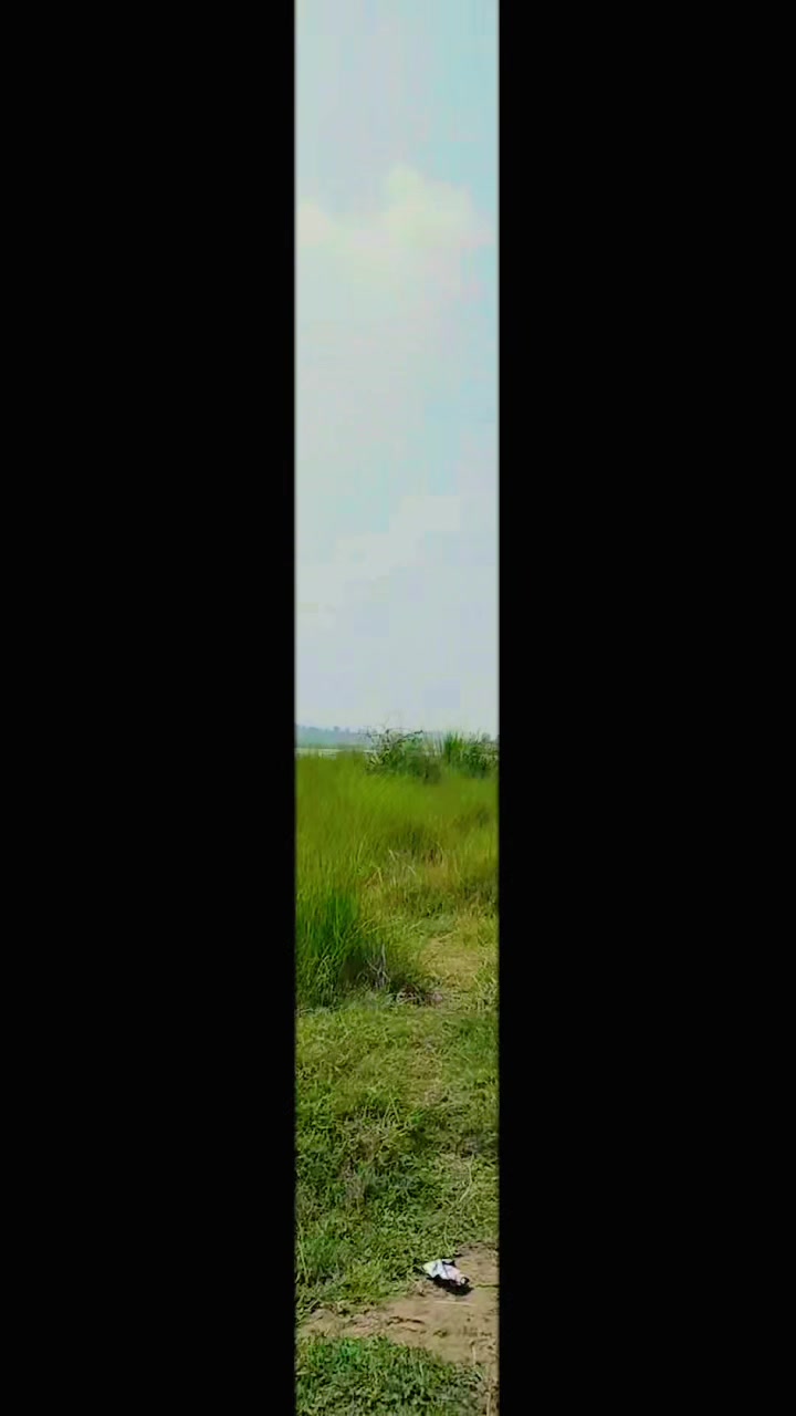 @سیدعامرشیرازی913