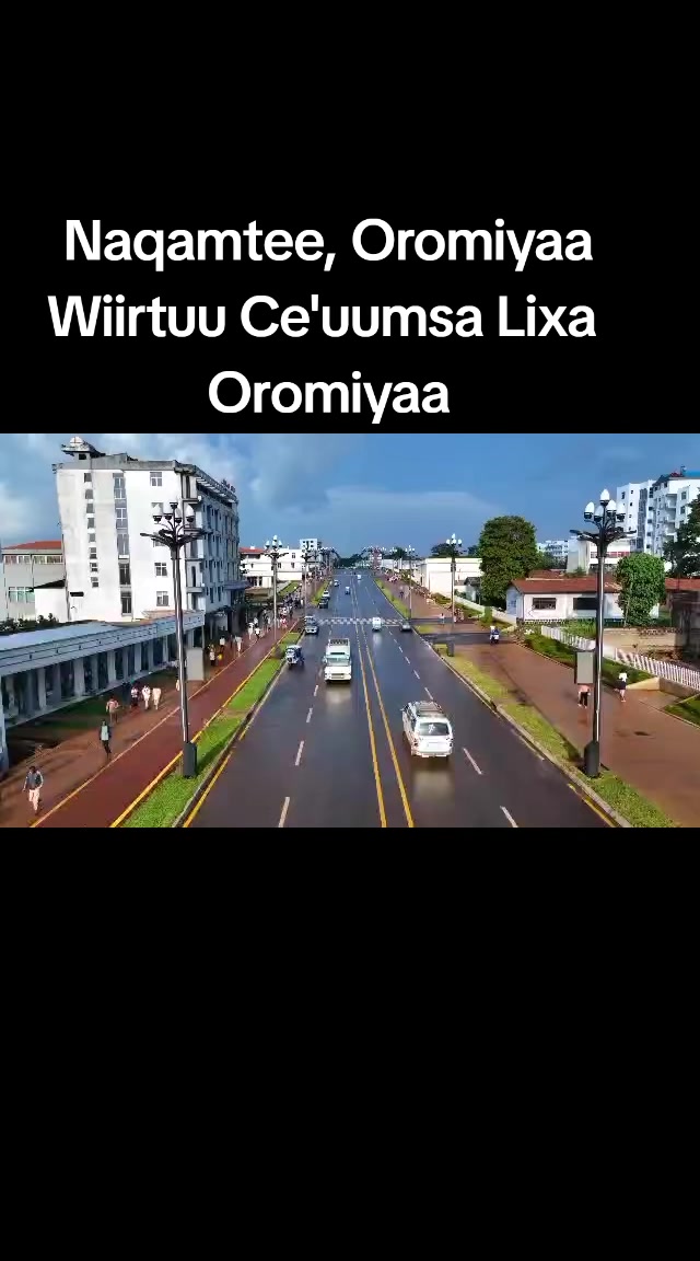 @Shimallis Abdisa Parody