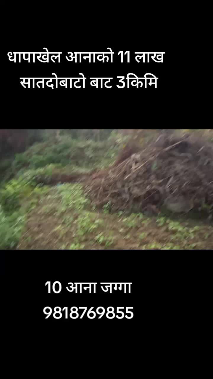 @9818769855