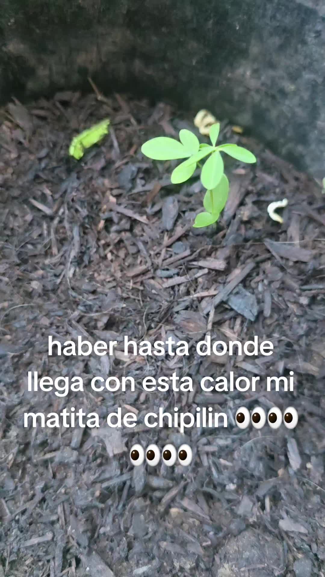 @Fanny Hernandez