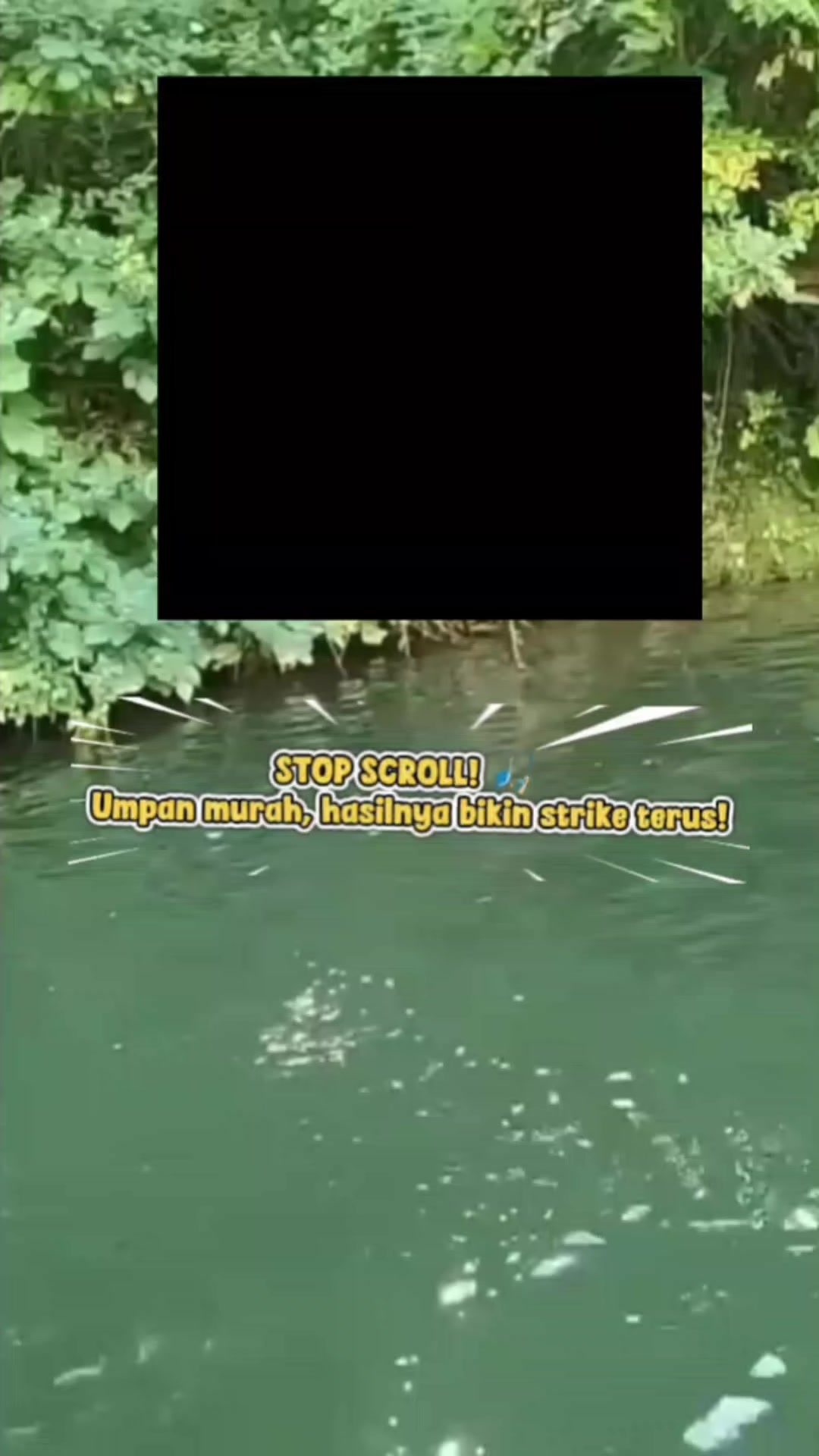 @iipas utan