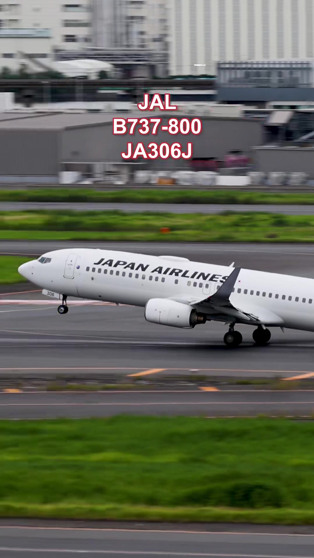 @Skyline だ〜はね|Haneda Airport ✈️