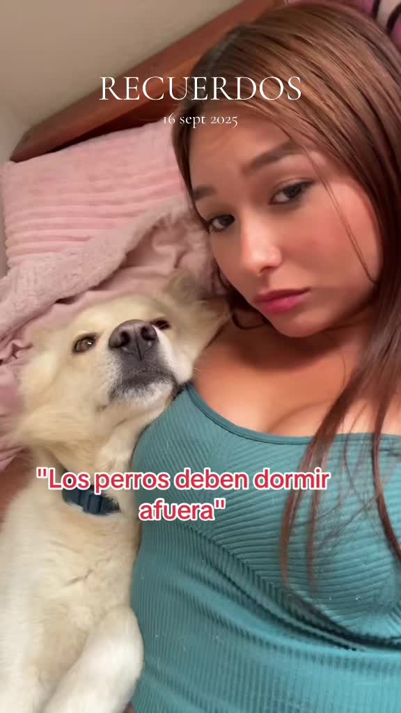 @Norii🍒