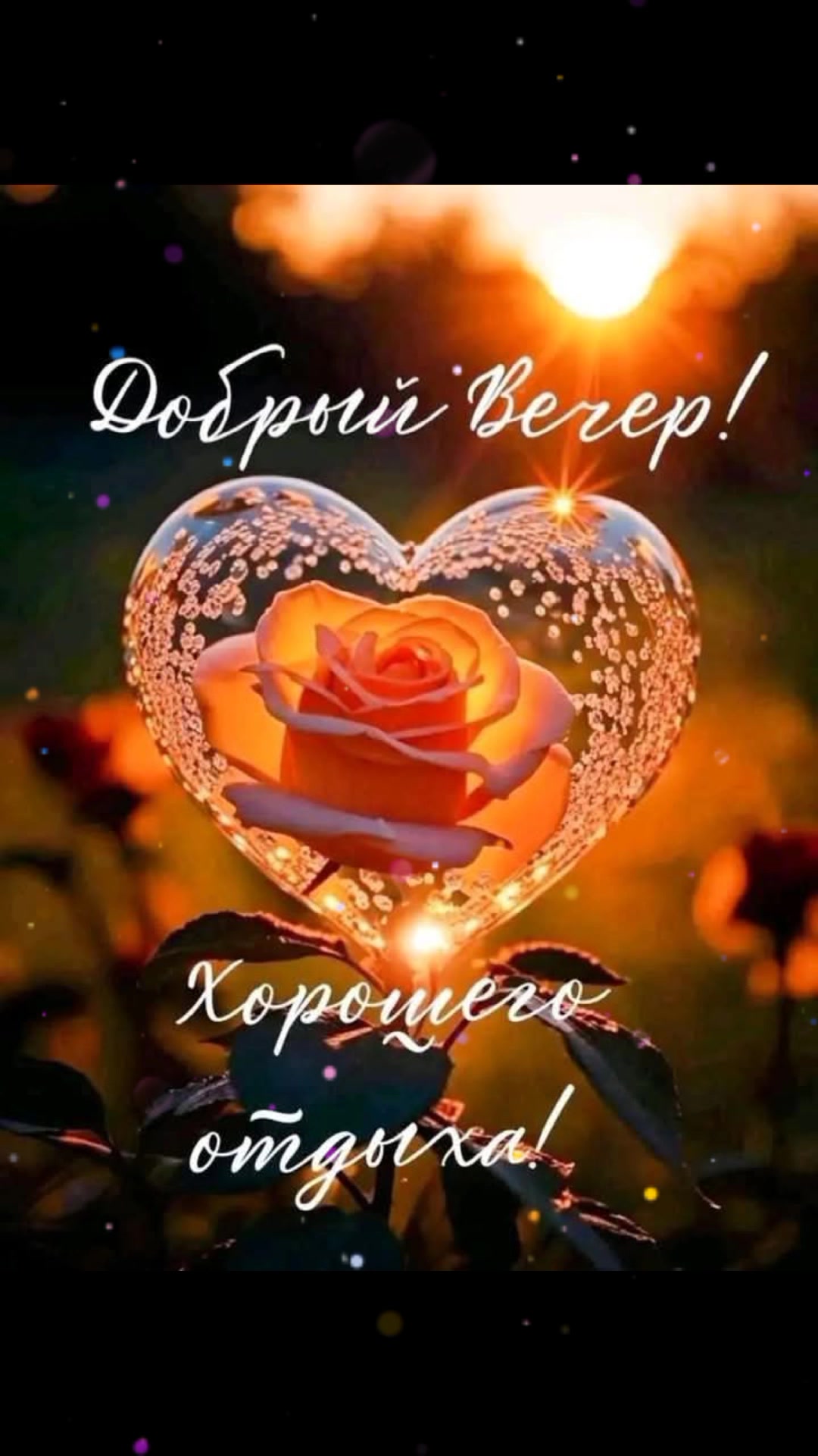 @леди Бодрум а 3