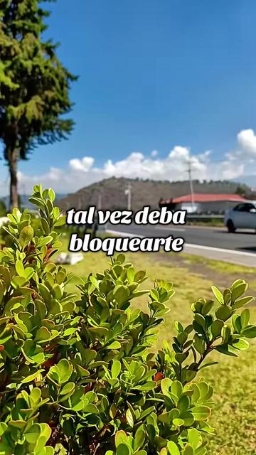 @Slifer Mtz
