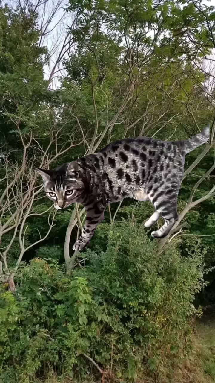@SudzyDudz77♾️❤️🐱🌩💋