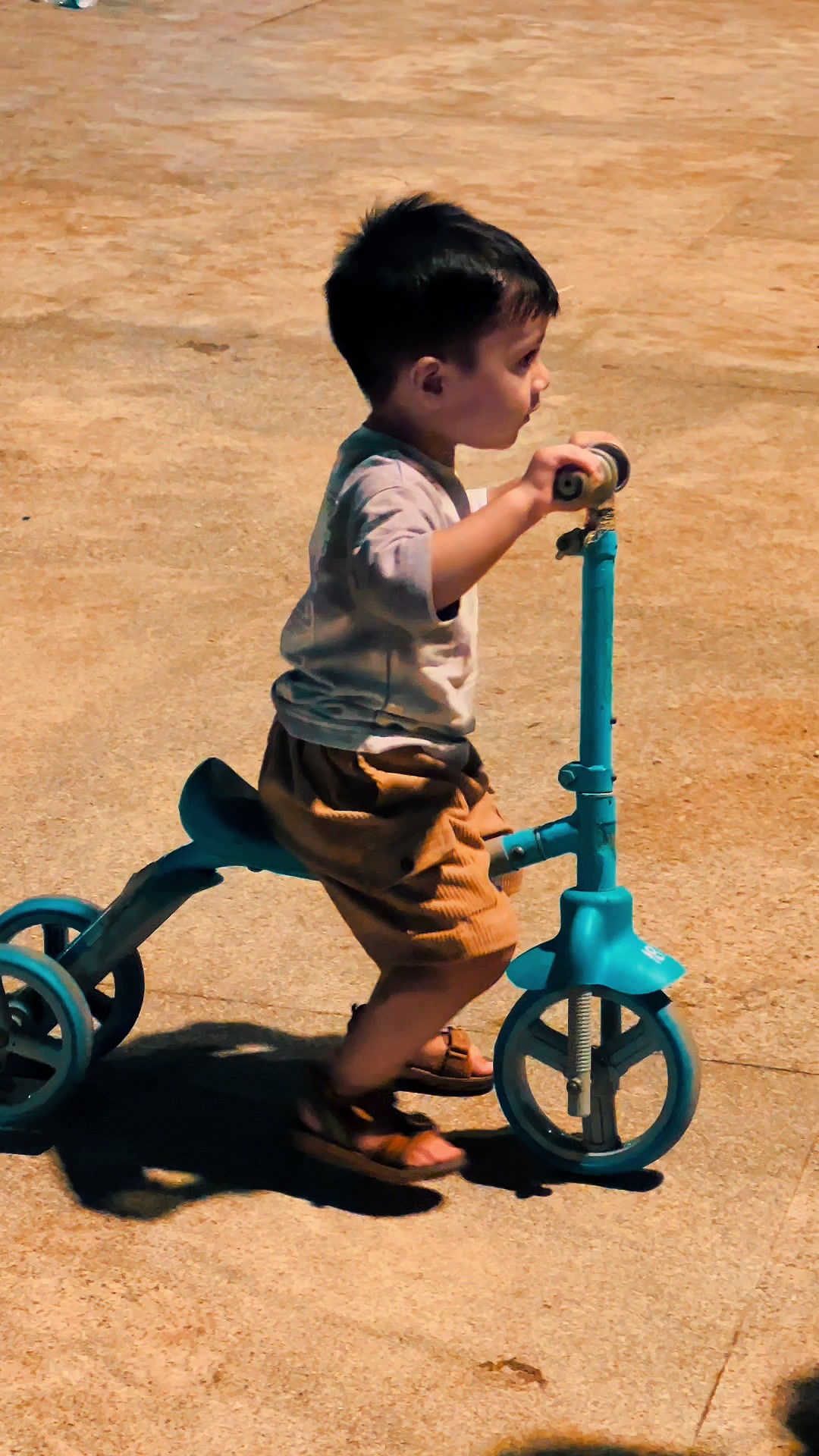 @jamshi585885
