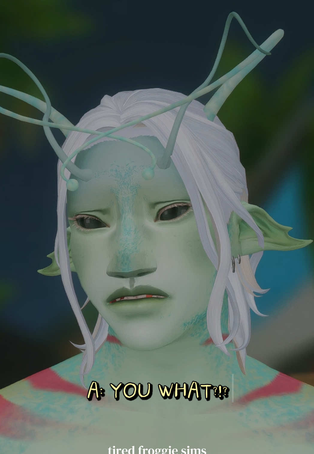 @froggie ☾⋆。𖦹