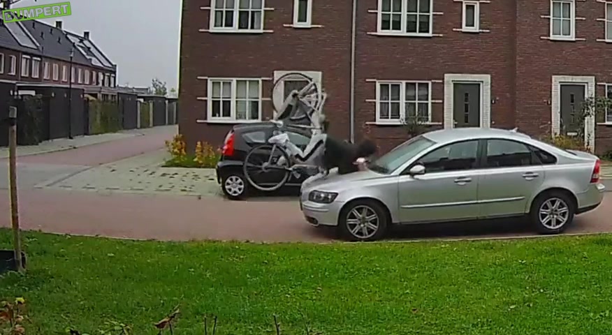 @Dumpert