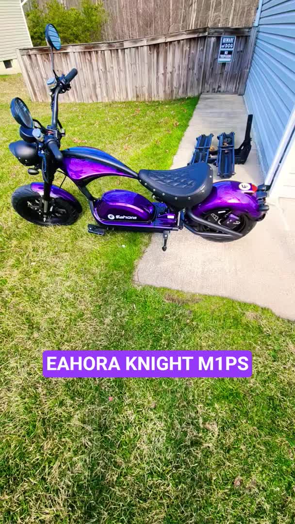 @eahorascooters