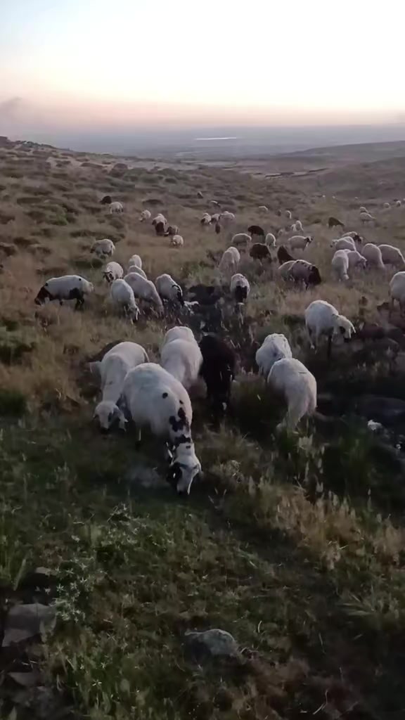 @keke sülo 💐💐
