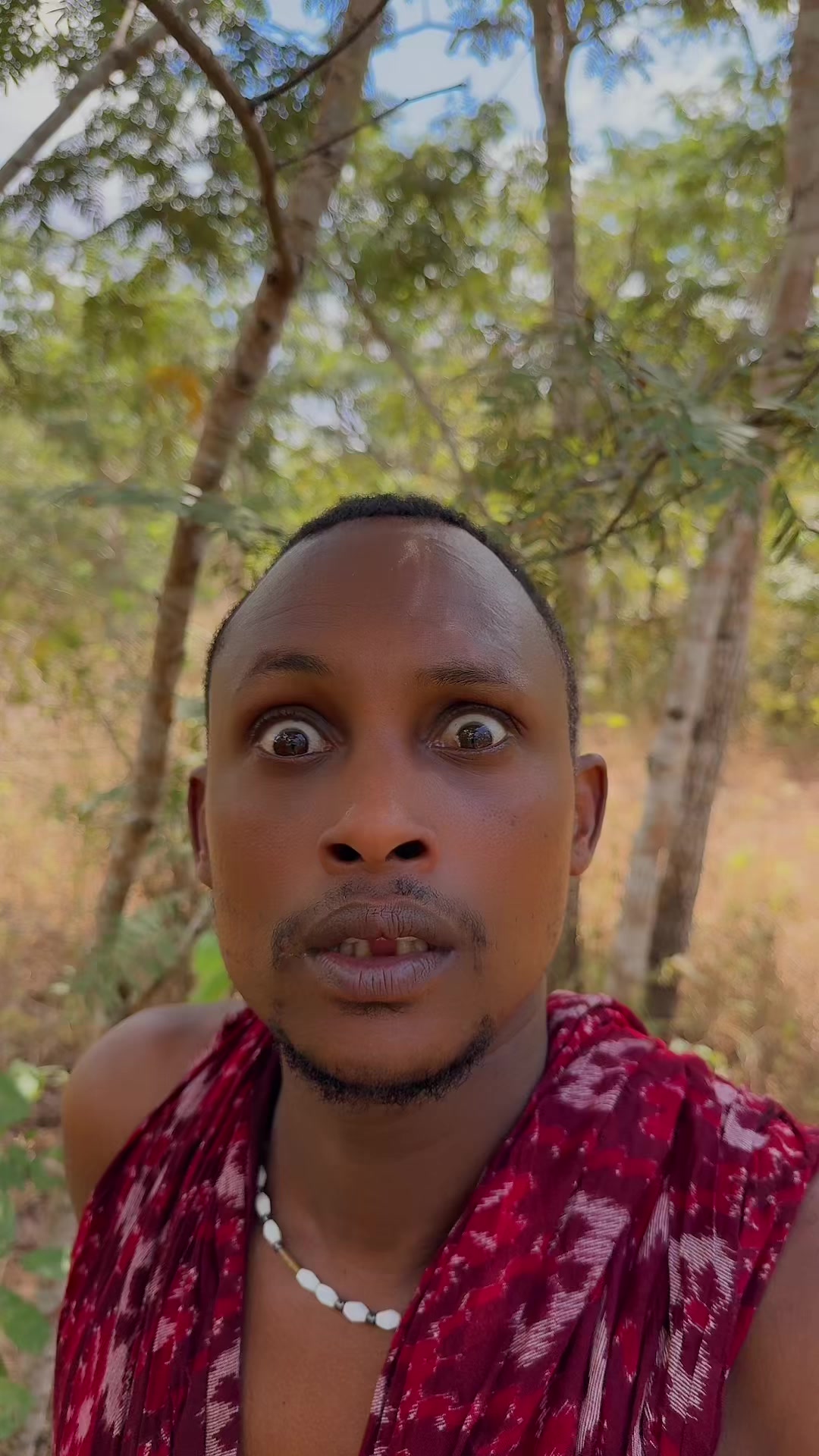 @SAIBOY