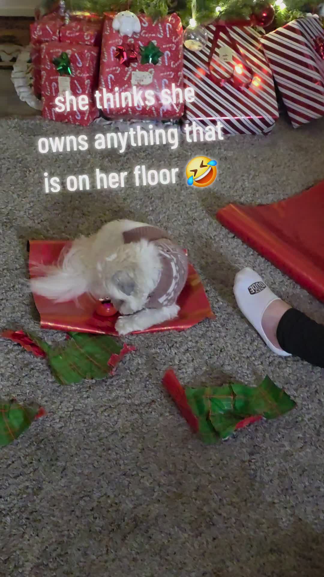 @Kara