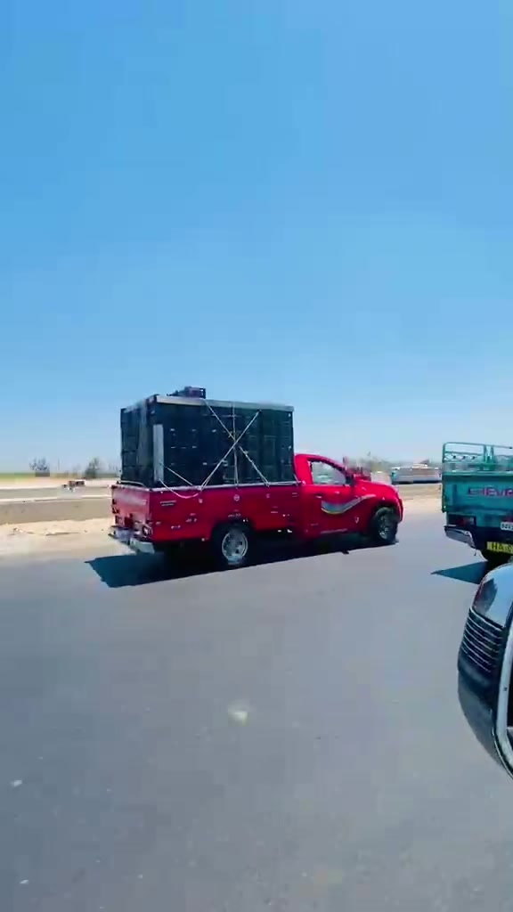@فرولايةة بني سويف 🍓