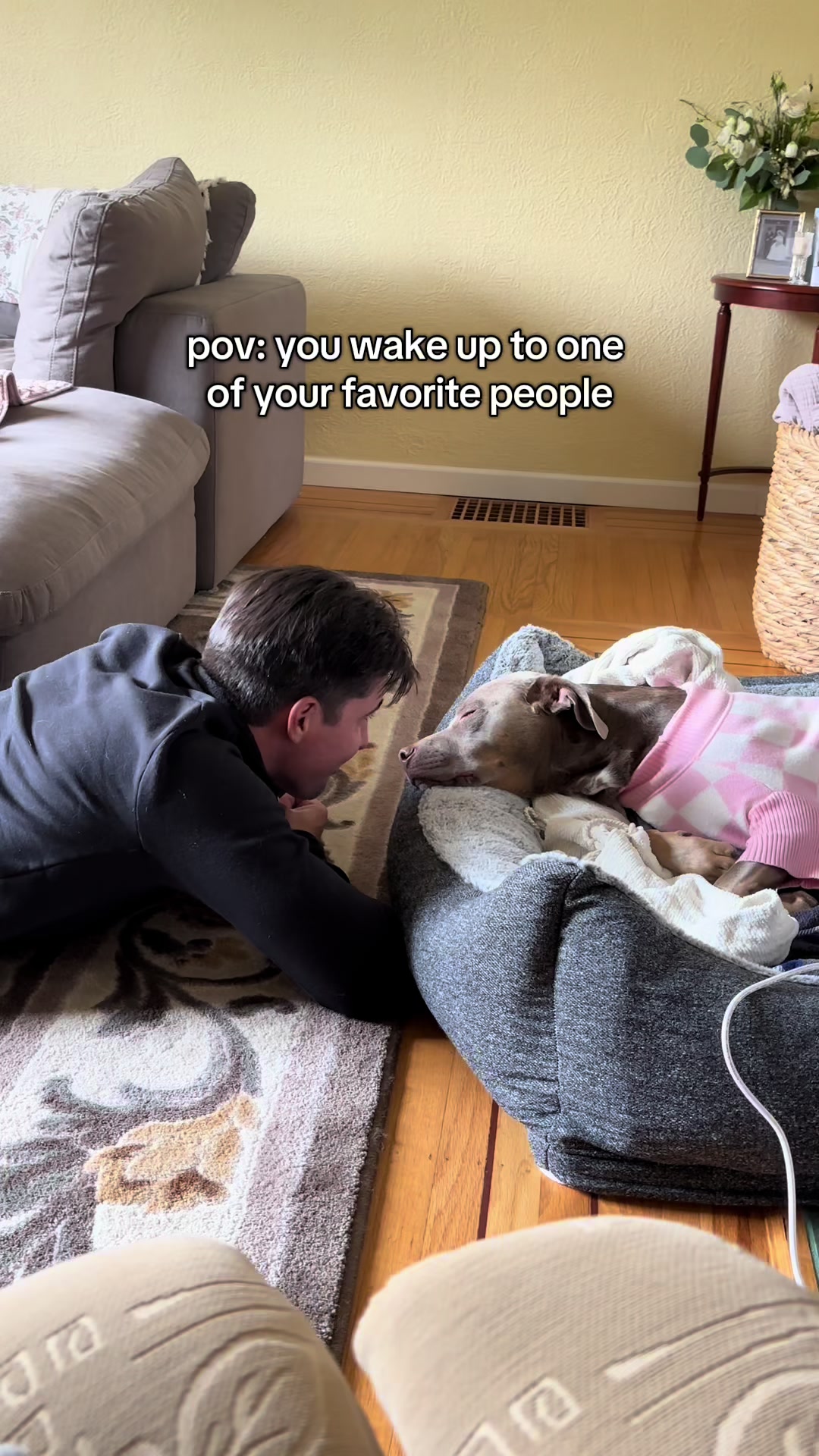 @rhubarb the doggo