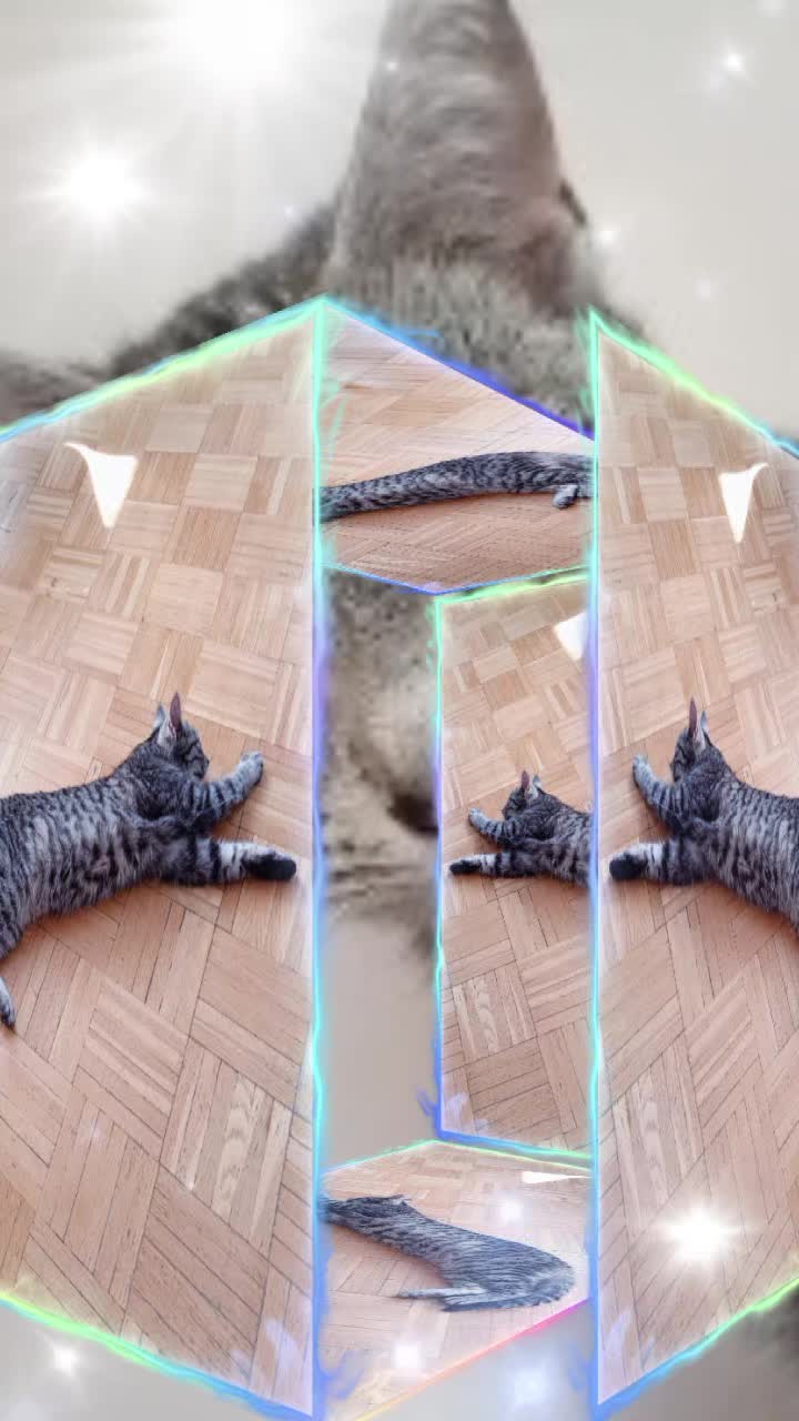 @OG&Oacute;REK KSIĘDZA &hearts;️TEAM MAGIA✨
