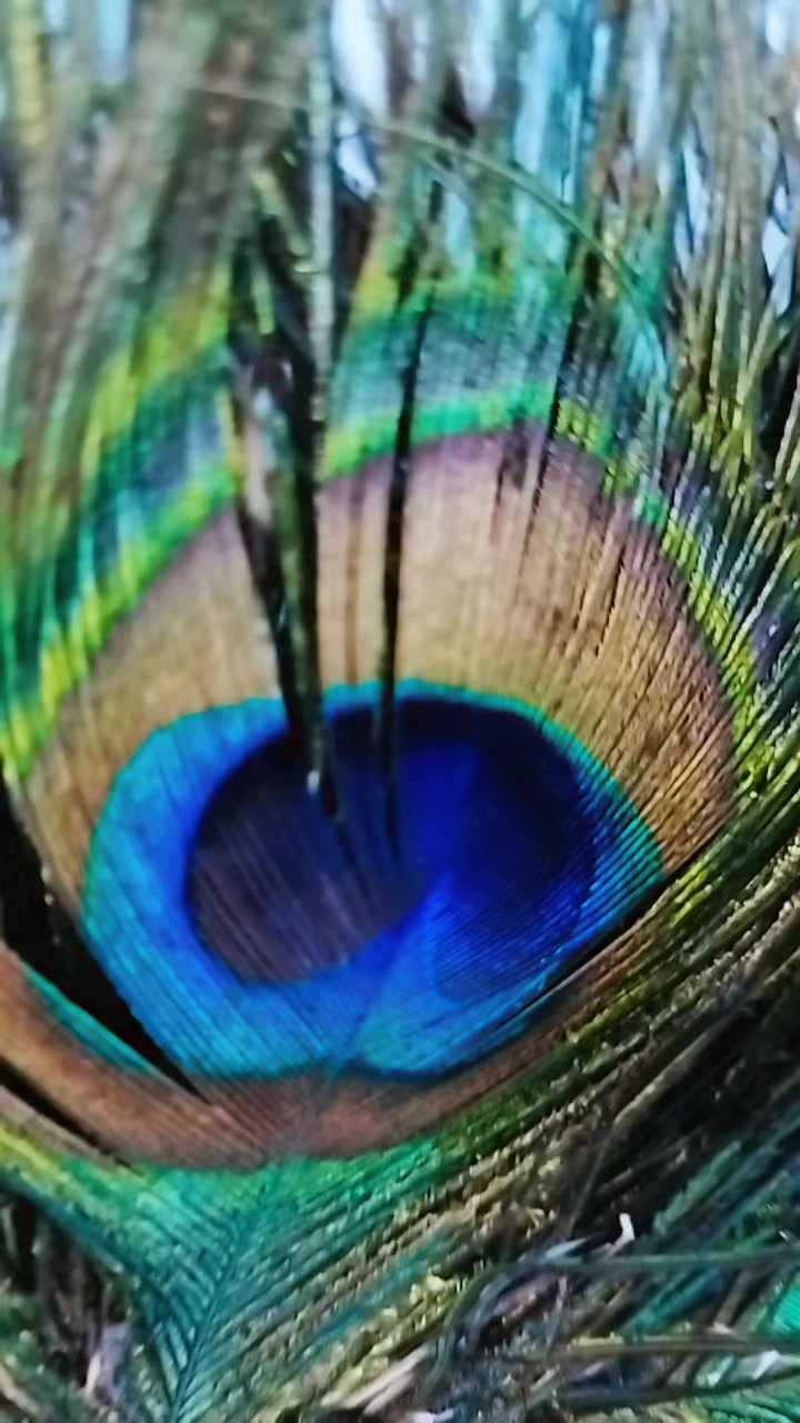 @kabitaojha