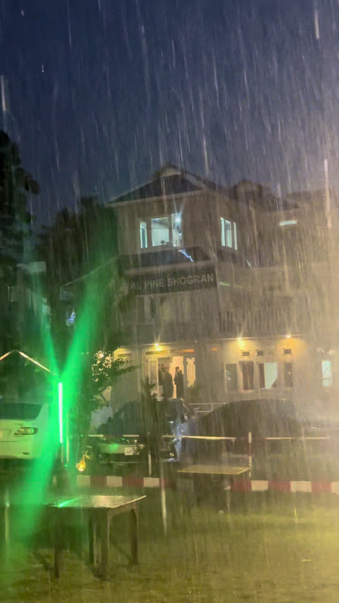 @Shogran Vibes