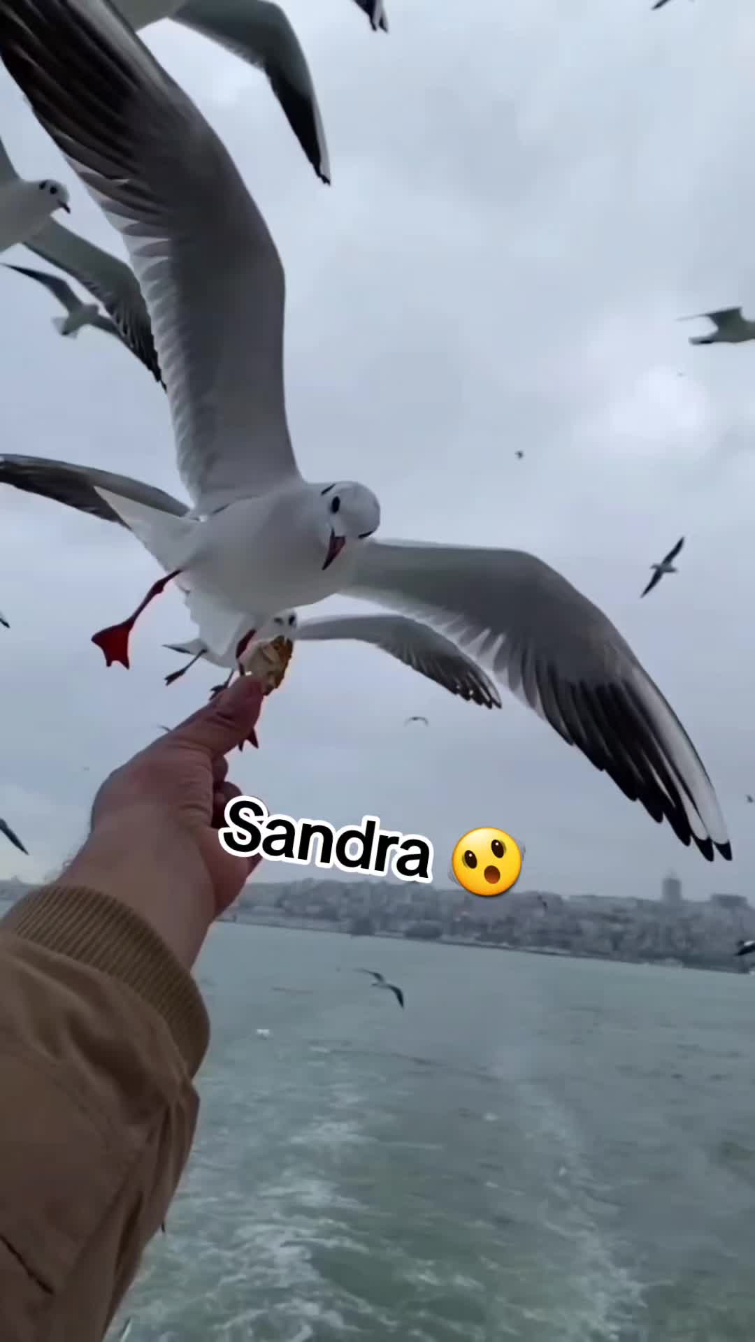 @Sandra