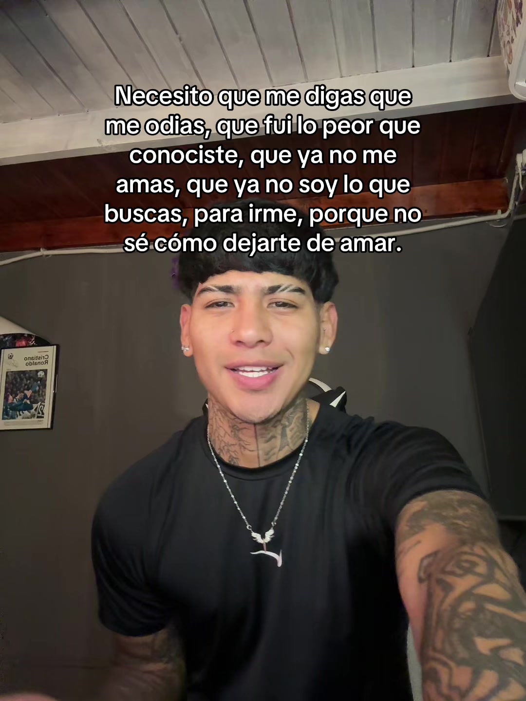 @Franco Cerrudo 🦖