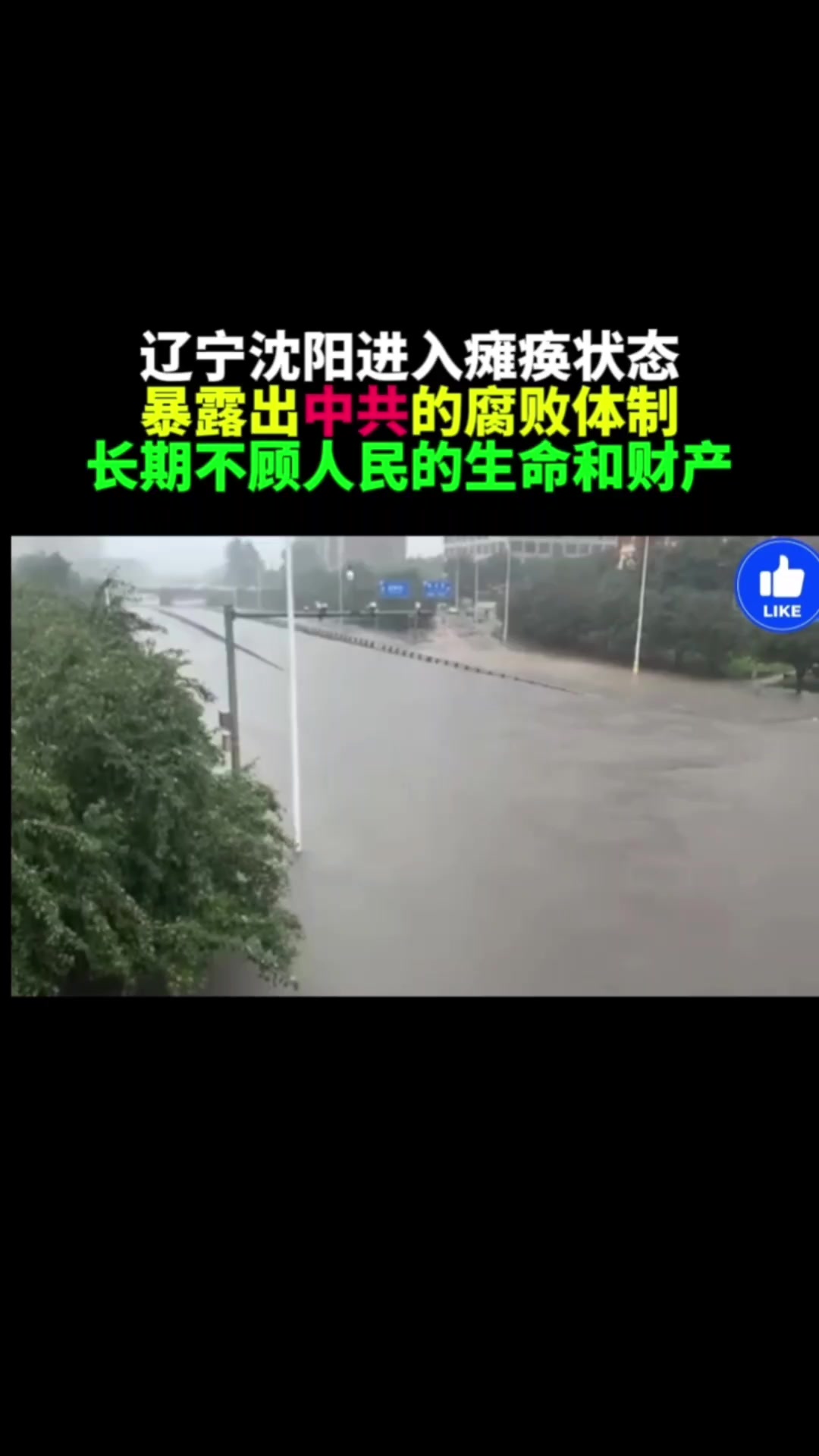 @奇点思维