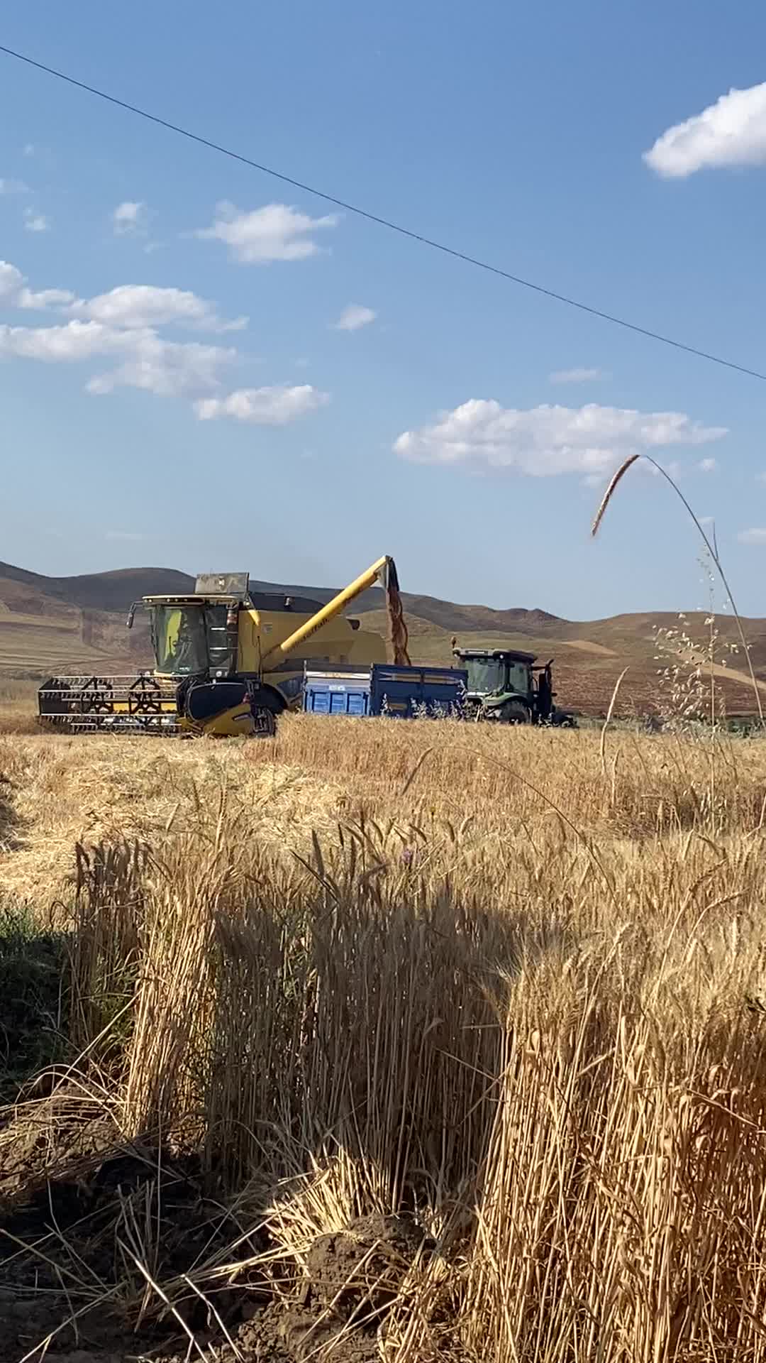 @DAVUTKARABIYIK660