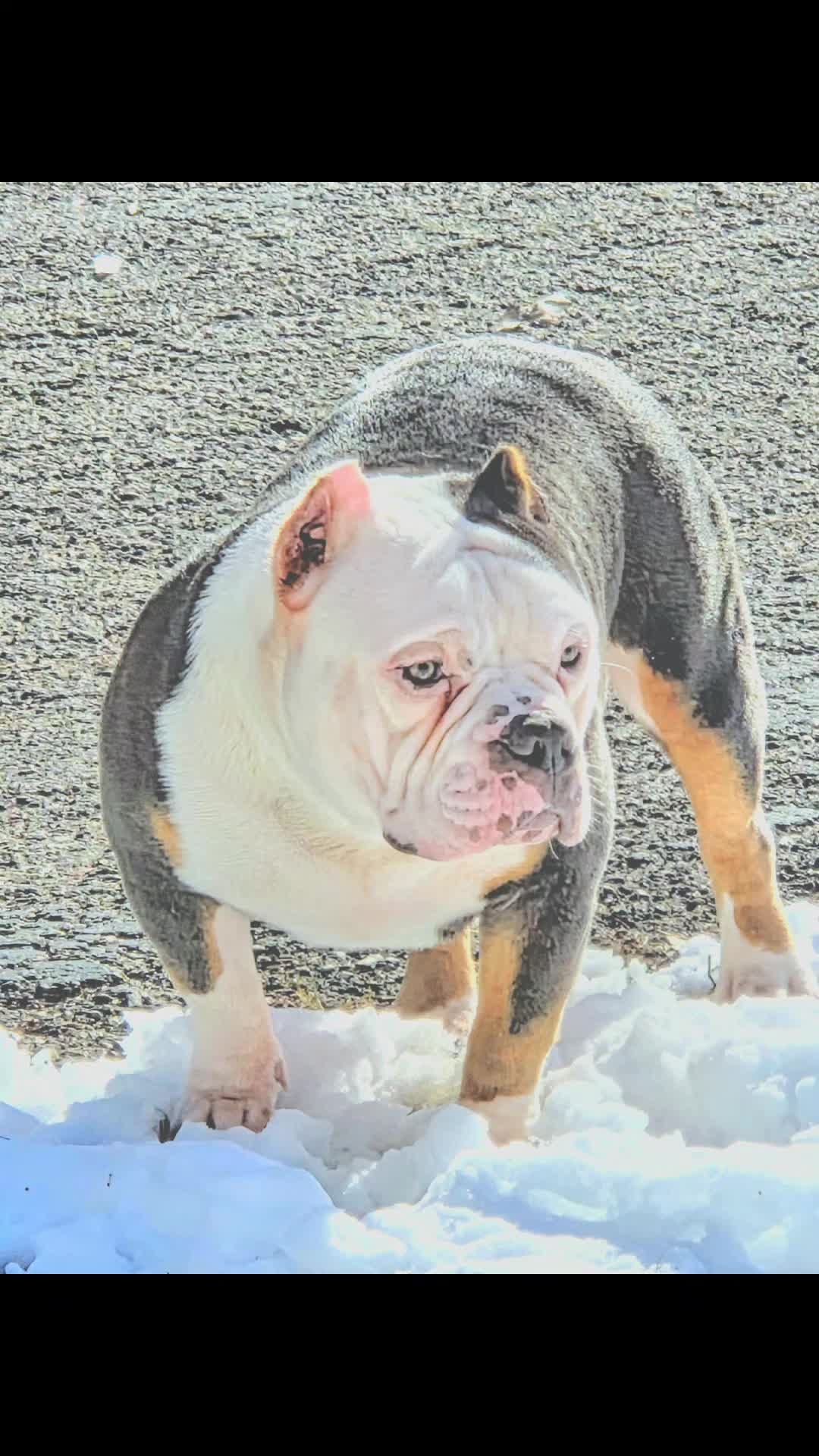 @125 BullyCamp