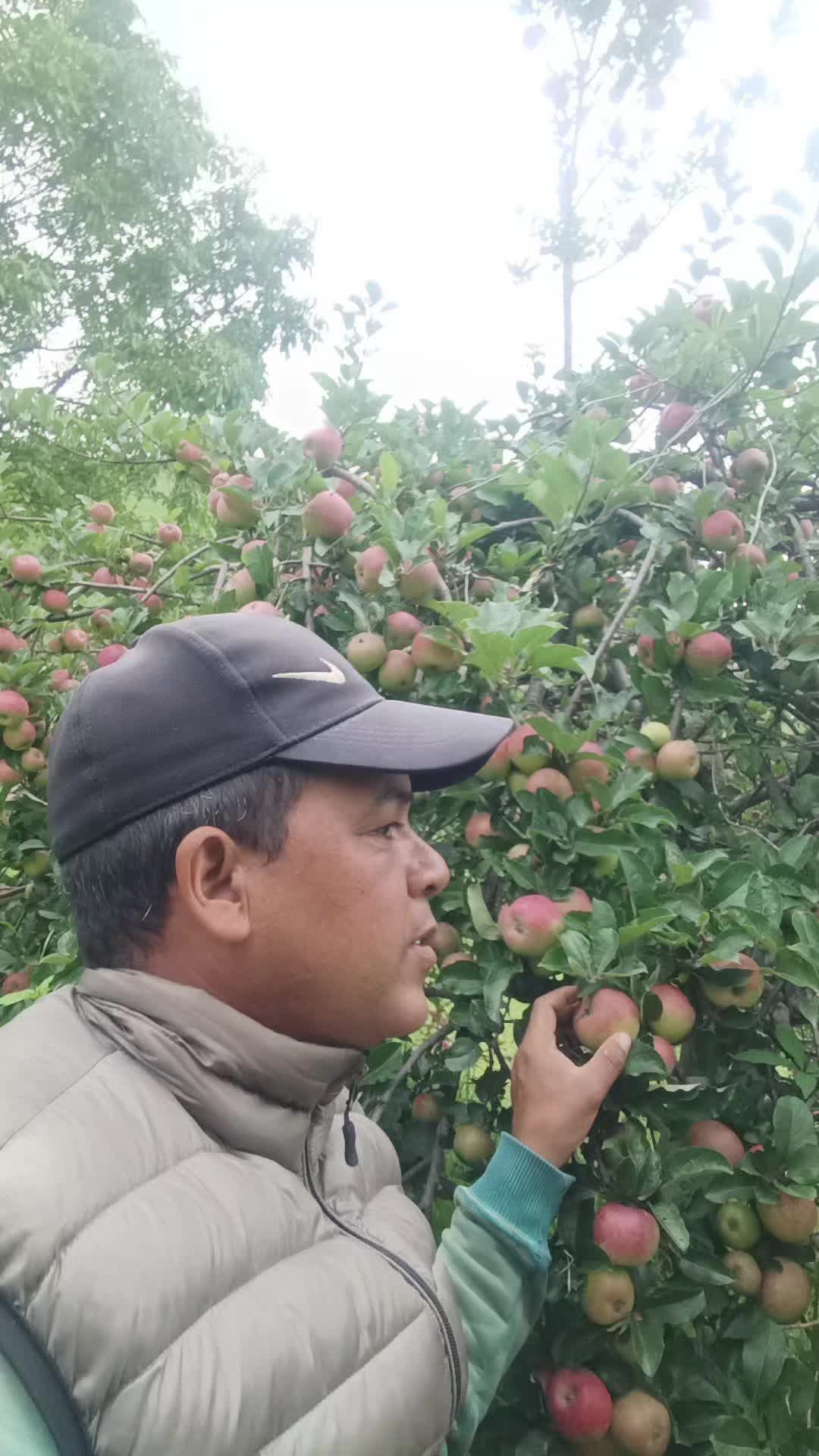 @जनक कार्की ( जुम्ली छोट्या )