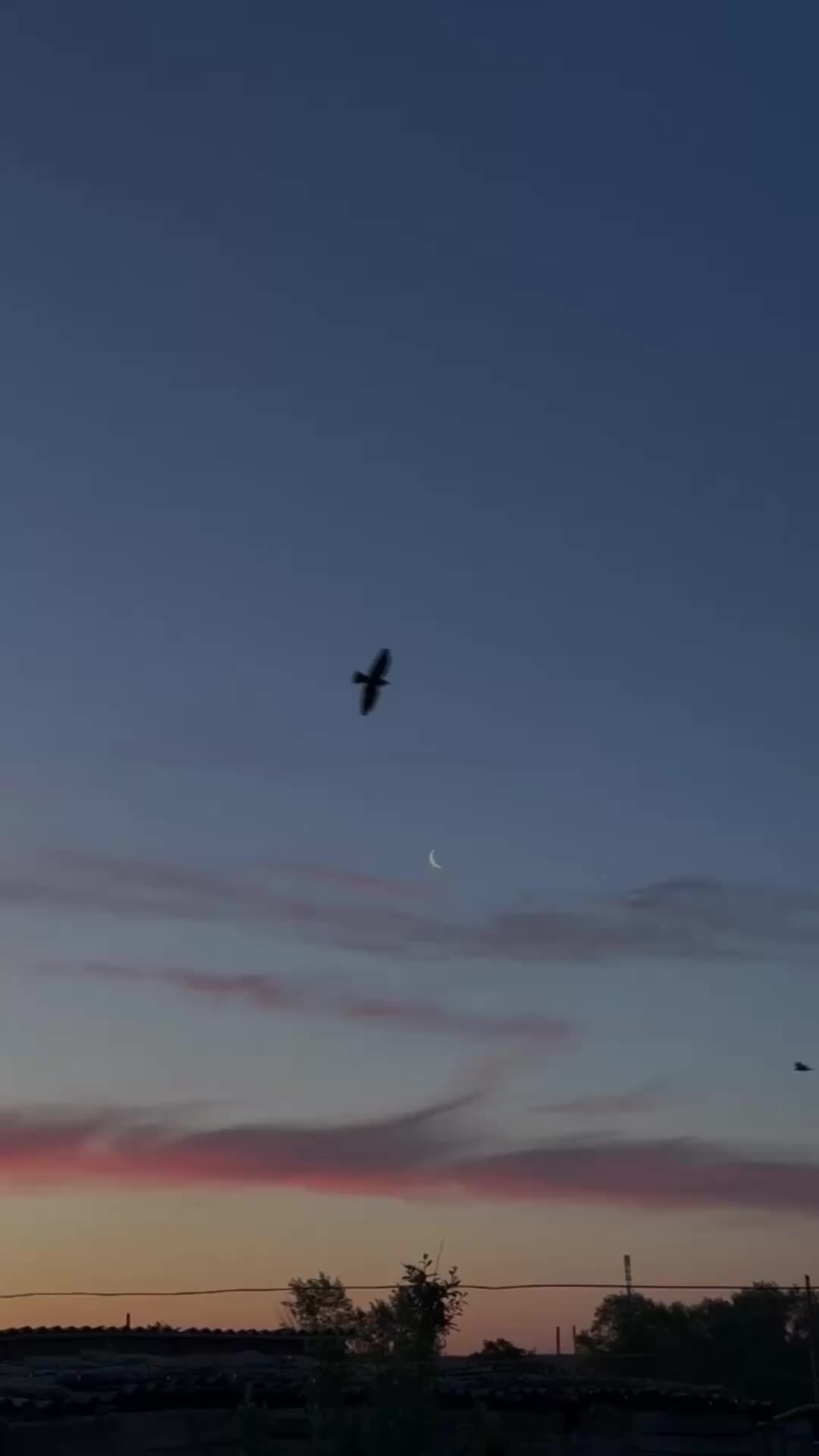 @𝗛𝗮𝗿𝗿𝘆