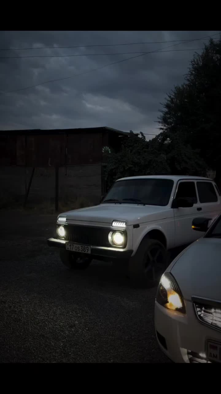 @lada__niva_dorjar