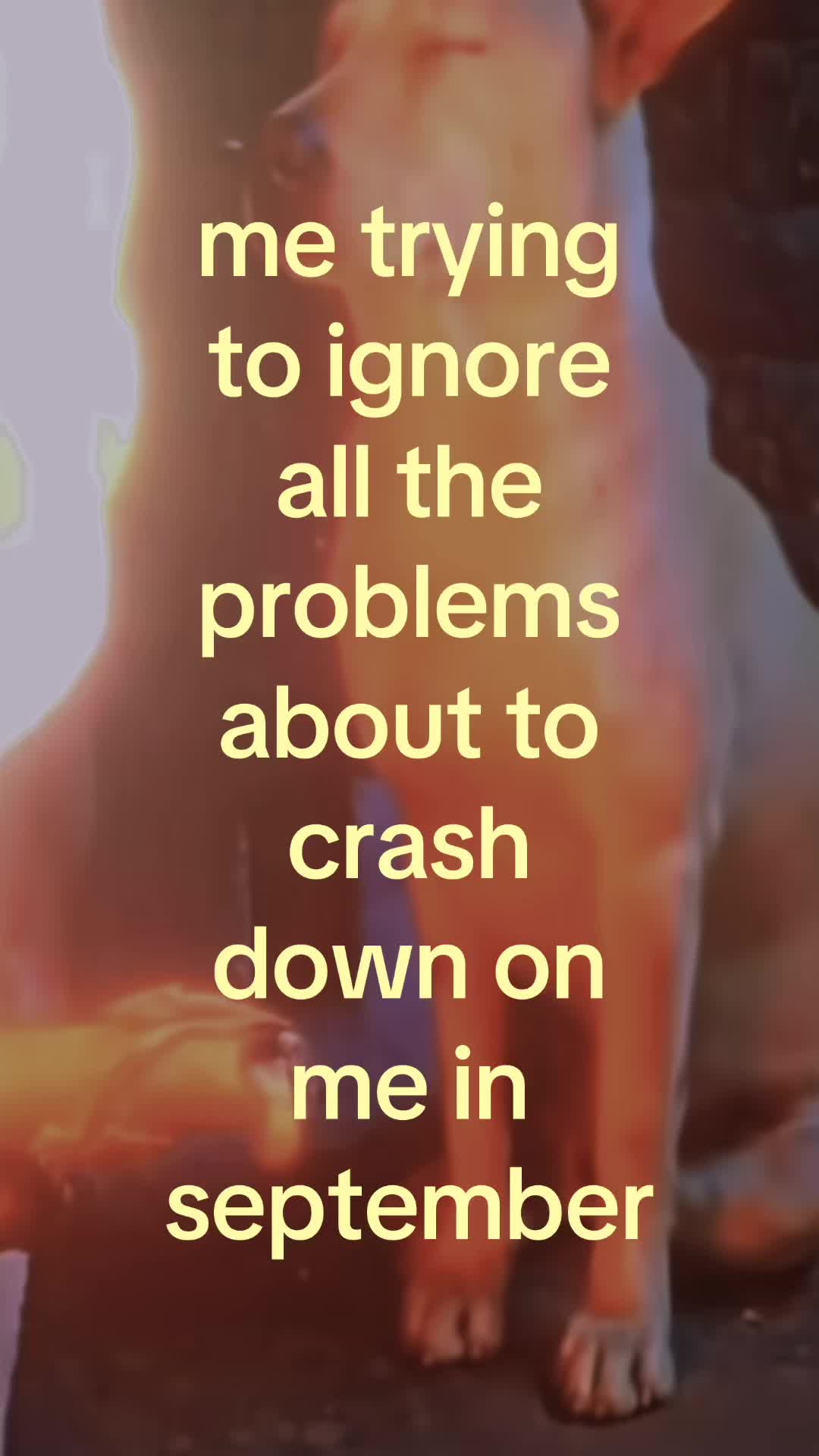 @🌀