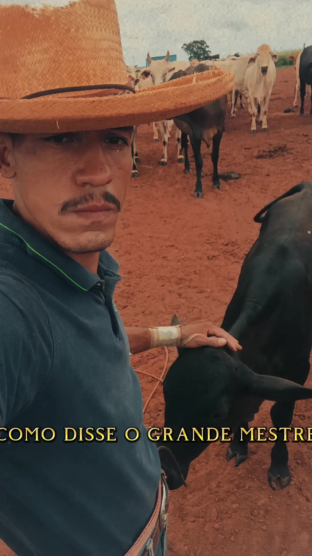 @EDSON.BENEVIDES🤠🍃