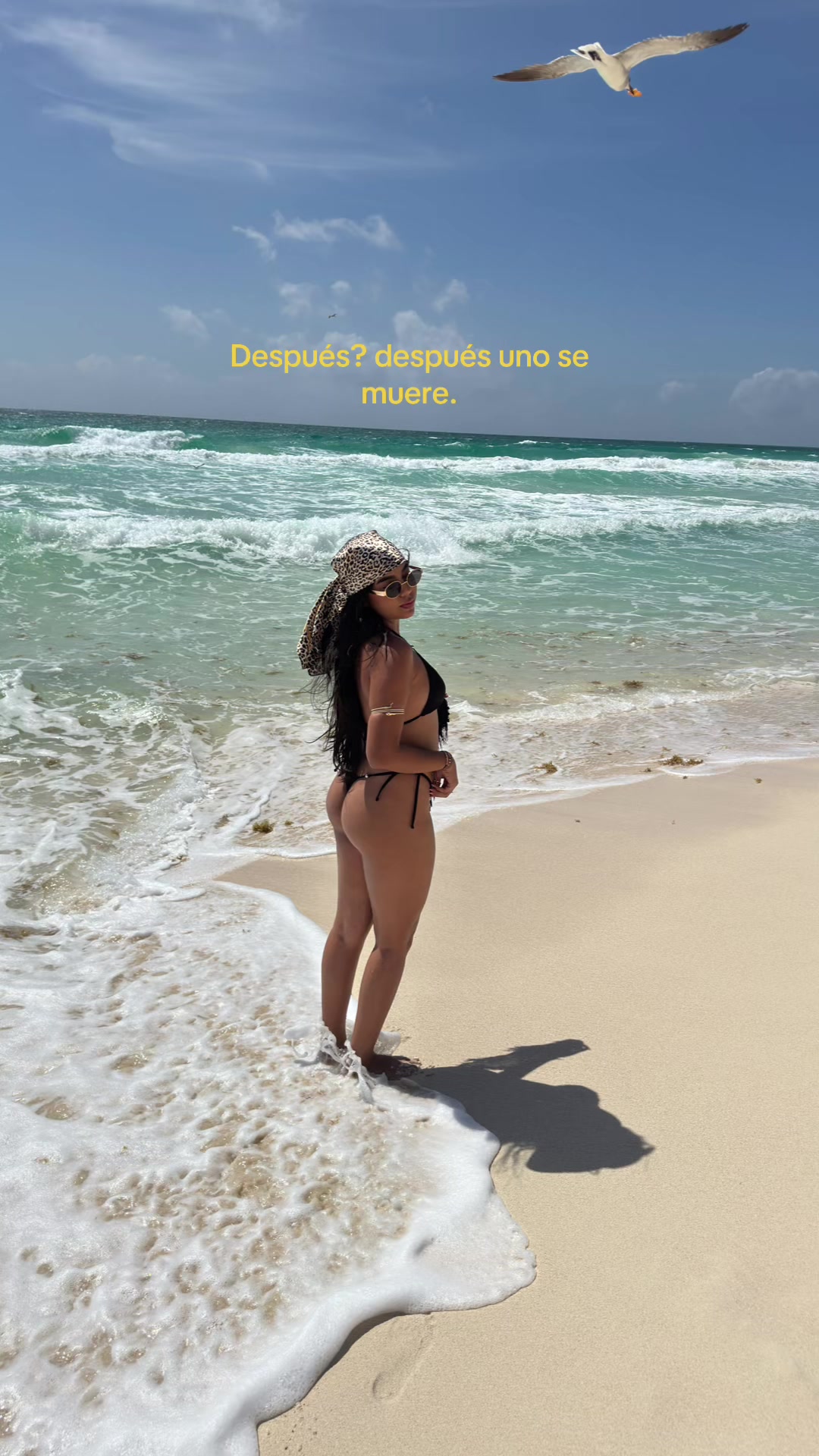 @isalopp